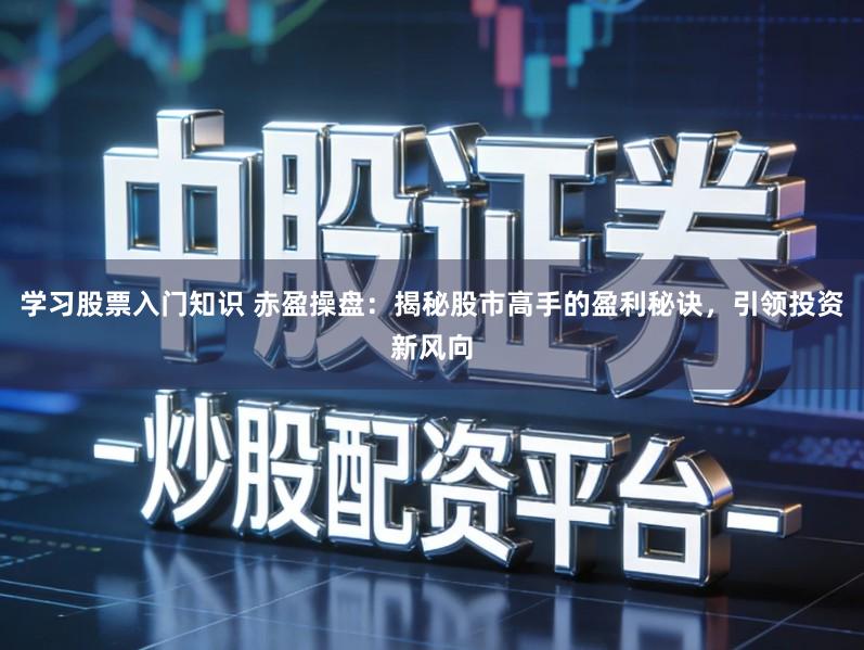 学习股票入门知识 赤盈操盘：揭秘股市高手的盈利秘诀，引领投资新风向