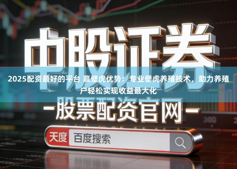 2025配资最好的平台 赢壁虎优势：专业壁虎养殖技术，助力养殖户轻松实现收益最大化