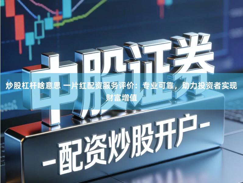 炒股杠杆啥意思 一片红配资服务评价：专业可靠，助力投资者实现财富增值