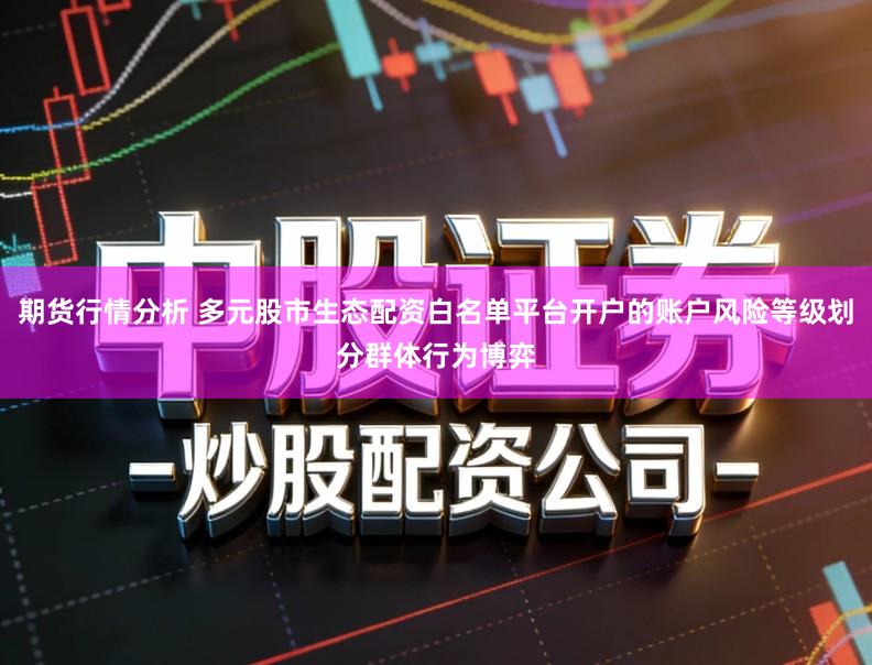 期货行情分析 多元股市生态配资白名单平台开户的账户风险等级划分群体行为博弈