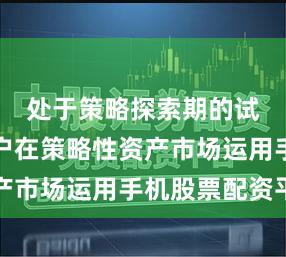 处于策略探索期的试验型账户在策略性资产市场运用手机股票配资平
